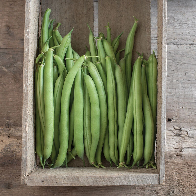 Provider 2 Provider - Image 2