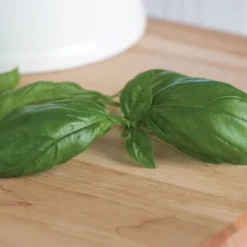 Genovese -Garden Care Shop 00911 03 genovese