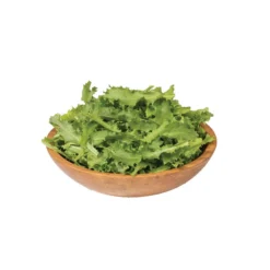 Clodia -Garden Care Shop 0111 03 clodia