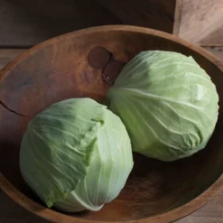 Storage No. 4 -Garden Care Shop 0167 02 storage no4