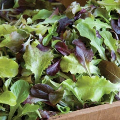 Allstar Gourmet Lettuce Mix