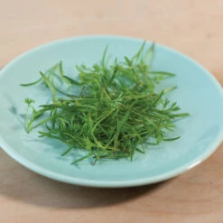 Carrot -Garden Care Shop 02468m 03 o p carrot