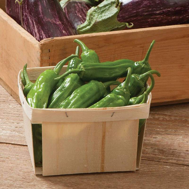 Mellow Star 2 Mellow Star - Image 2