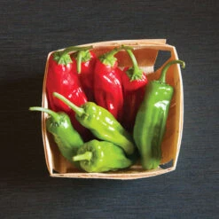 Mellow Star 5 Mellow Star -Garden Care Shop 02592 03 mellowstar