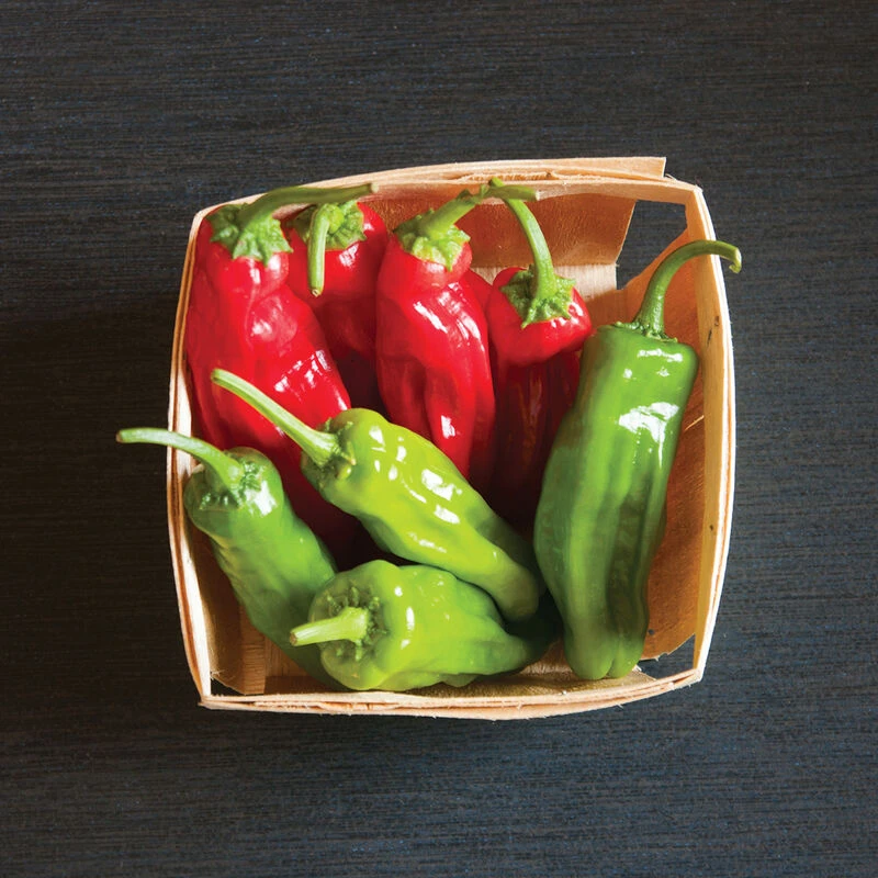 Mellow Star 3 Mellow Star - Image 3