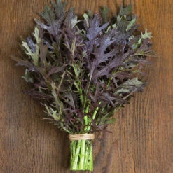 Ruby Streaks 5 Ruby Streaks -Garden Care Shop 02740g 01 ruby streaks