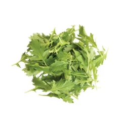 Mizuna -Garden Care Shop 02883 03 mizuna