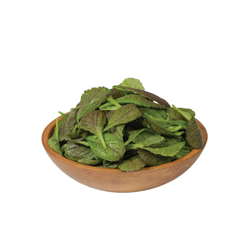 Red Giant 1 Red Giant