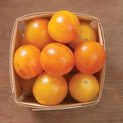 Sunrise Bumble Bee -Garden Care Shop 03112g 03 sunrisebumble