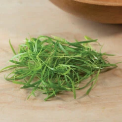 Fennel, Green -Garden Care Shop 03152m 03 fennelgreensilo