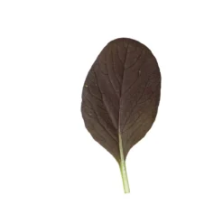 Rosie -Garden Care Shop 03159 04 rosie