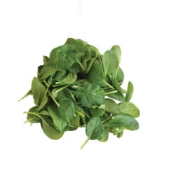 Koji -Garden Care Shop 03191 05 koji