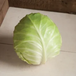 Primo Vantage -Garden Care Shop 03231 03 primovantage