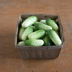 Quirk -Garden Care Shop 03408 03 quirk