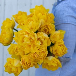 New Products 20 Marie Jo