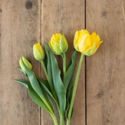 Marie Jo -Garden Care Shop 03476 03 marie jo