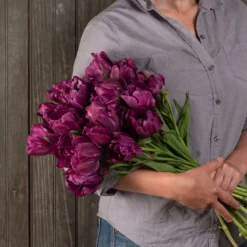 New Products -Garden Care Shop 03481 04 negrita double