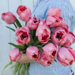 New Products -Garden Care Shop 03491 02 design impression