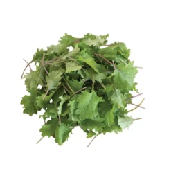 Red Russian -Garden Care Shop 0363 02 redrussian