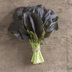 Red Kingdom -Garden Care Shop 03748 02 redkingdom