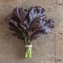 Miz America -Garden Care Shop 03749 01 mizamerica