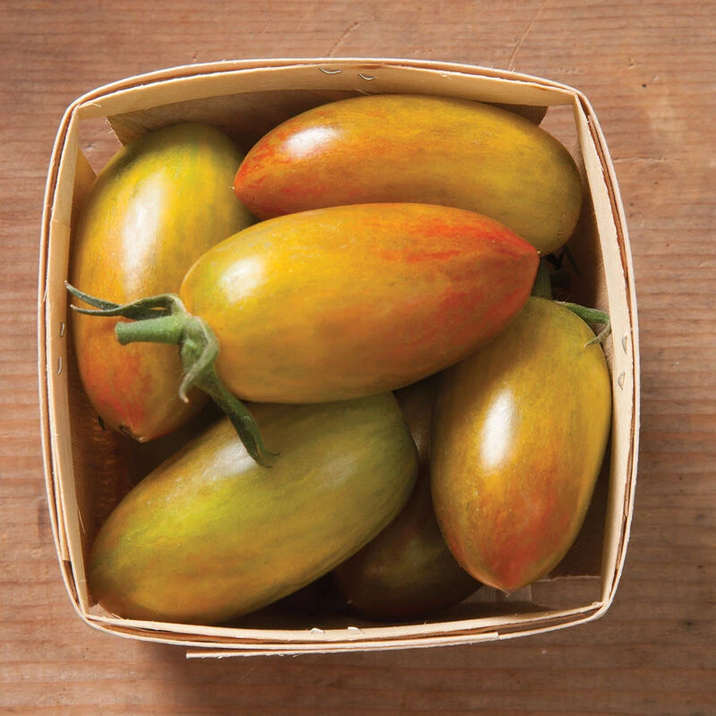 Lucky Tiger 1 Lucky Tiger