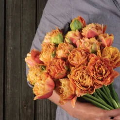 Sensual Touch -Garden Care Shop 04058 04 sensual touch