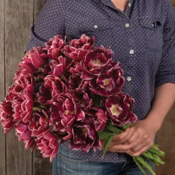 Dream Touch -Garden Care Shop 04060 03 dream touch