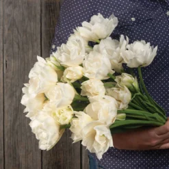 Garden Care Shop -Garden Care Shop 04063 02 mondial