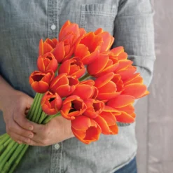 Garden Care Shop -Garden Care Shop 04229 02 worlds favorite