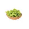 Green Saladbowl
