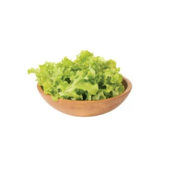 Green Saladbowl