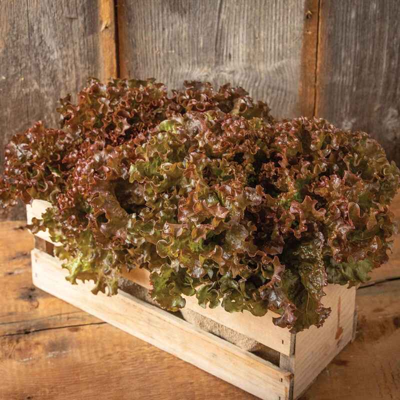 Shirane Sky 1 Shirane Sky