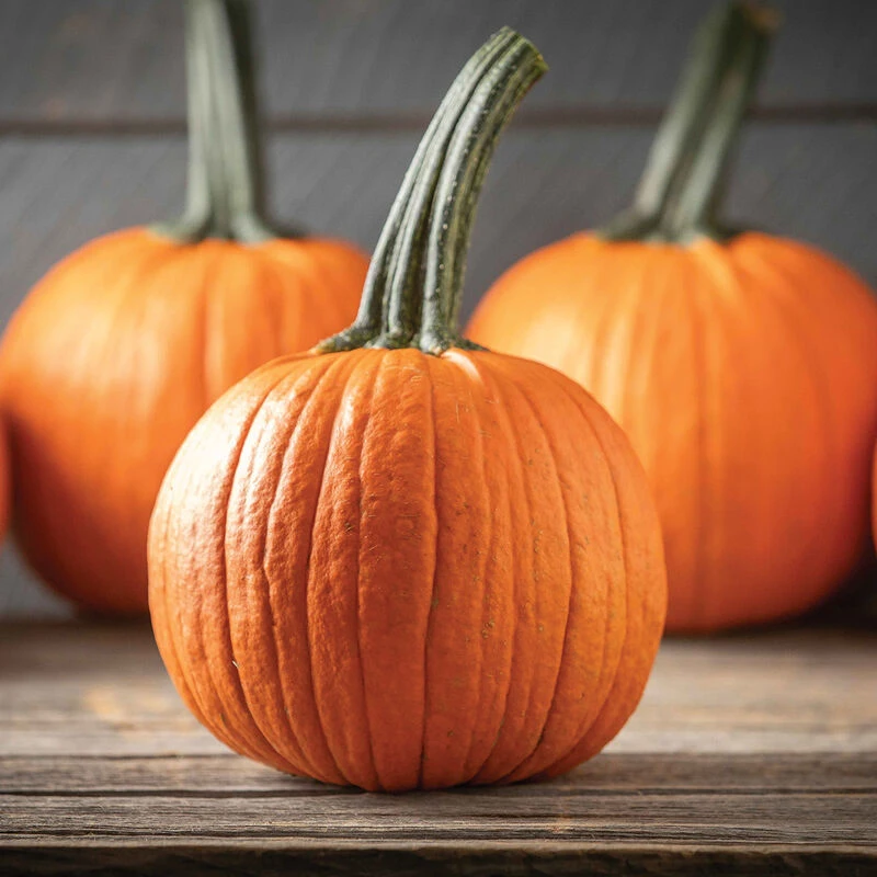 Jack Of Hearts 1 Jack Of Hearts