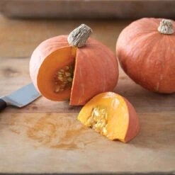 Marmalade -Garden Care Shop 04424g 03 marmalade