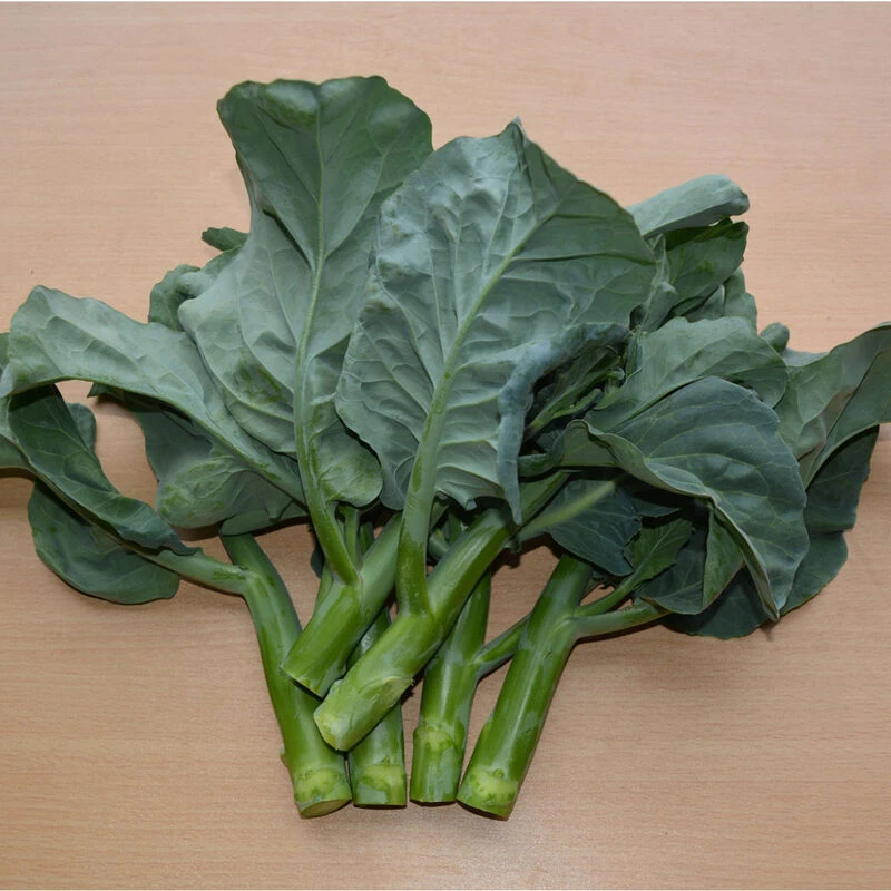 Noble Jade 1 Noble Jade