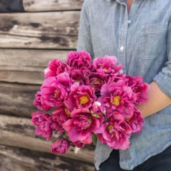 Margarita -Garden Care Shop 04556 01 margarita