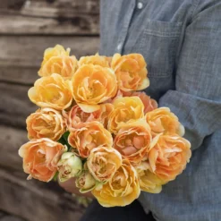 Charming Beauty 7 Charming Beauty -Garden Care Shop 04561 03 charming beauty