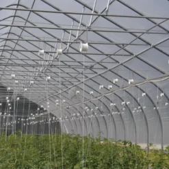 Rollerhook® – 25 Count 5 Rollerhook® – 25 Count -Garden Care Shop 07047 02 rollerhookgreenhouse