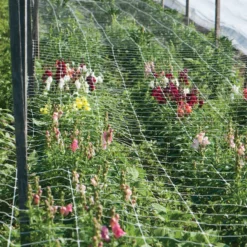 Hortonova FA – 36" X 3,280'