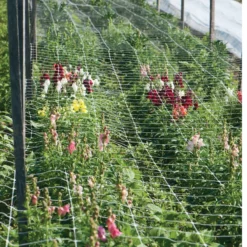 Hortonova FA – 42" X 328'