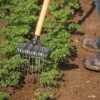 Tine Weeding Rake – 6"
