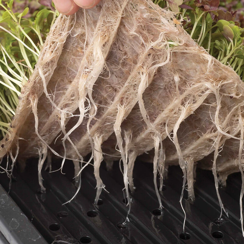 Terrafibre Hemp Grow Mats, 10" X 20" – 10 Count 2 Terrafibre Hemp Grow Mats, 10" X 20" – 10 Count - Image 2