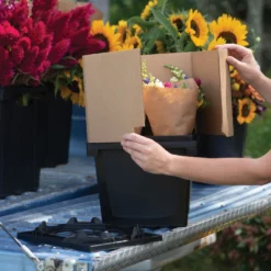 Florida Collar – 9"