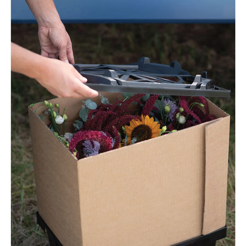 Valencia Lid 4 Valencia Lid - Image 4