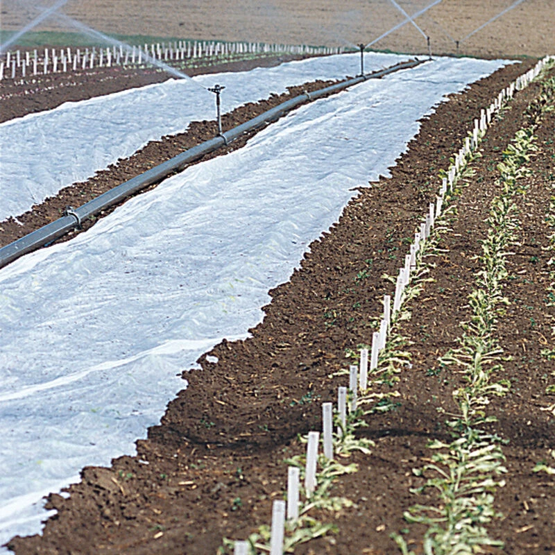 Agribon+ AG-15 – 118" X 1,500' 1 Agribon+ AG-15 – 118" X 1,500'