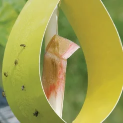 Sticky Yellow Traps – 5 Count