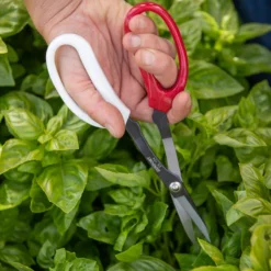 Garden Scissors