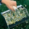 Chamomile Rake