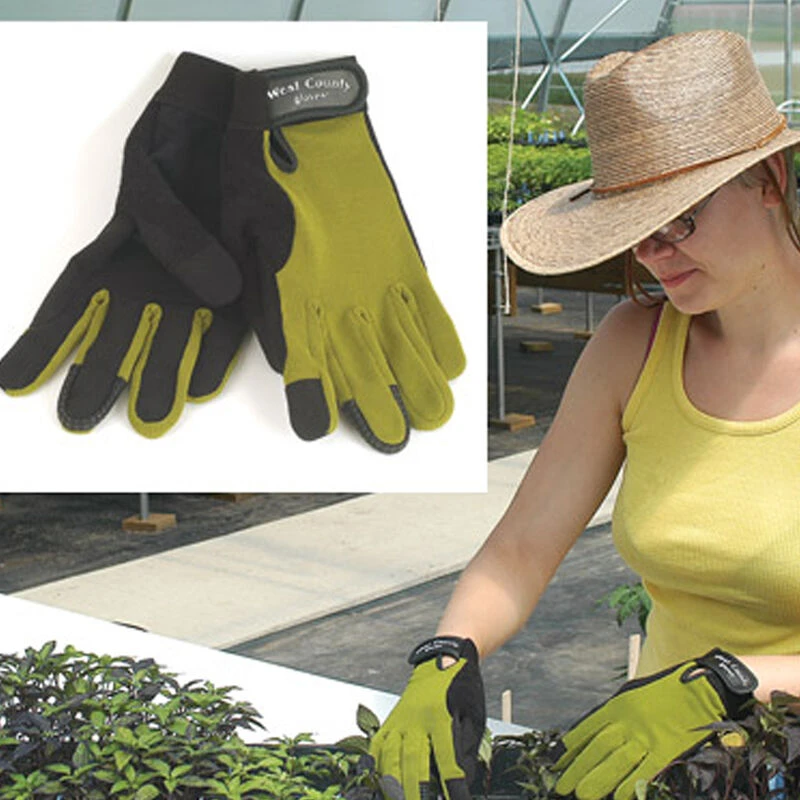 Women's Stem – S 1 Women's Stem – S